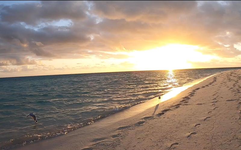 working holiday 澳洲