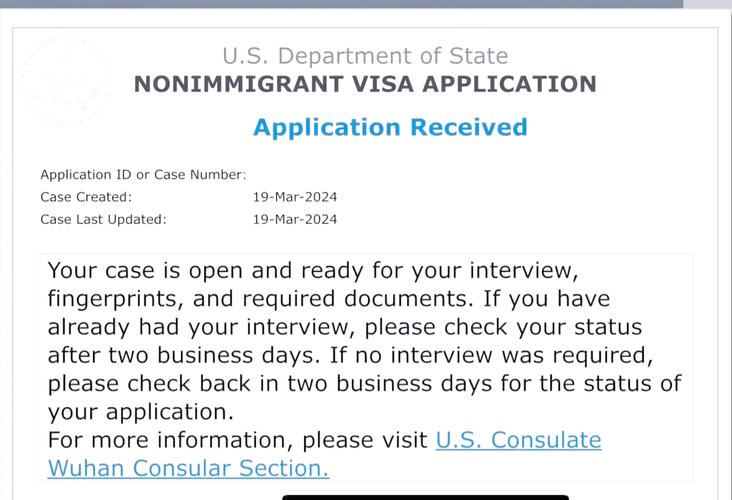 美国签证查询 no status