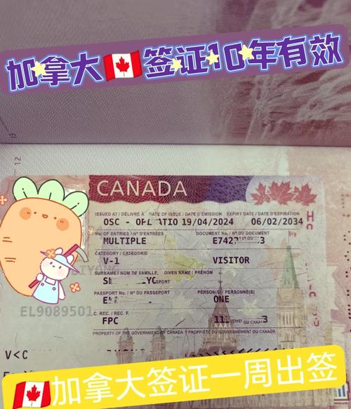 加拿大签证money order