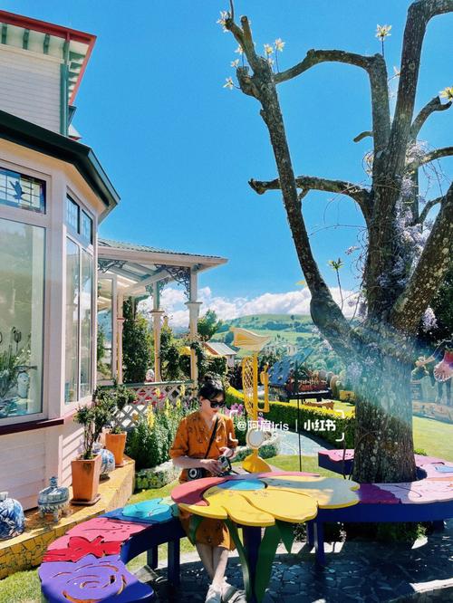 新西兰留学生homestay