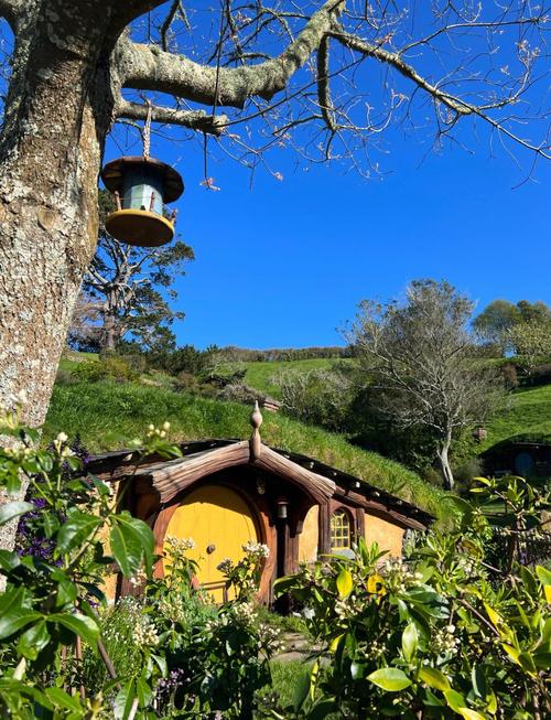 新西兰matamata去哪玩