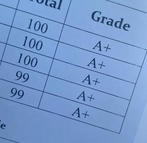 新加坡alevel成绩查询
