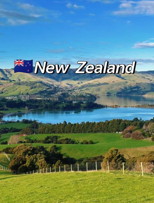 新西兰diploma是大学吗