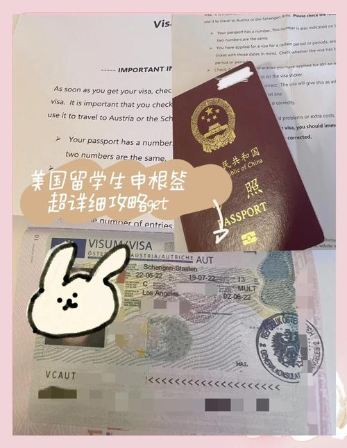 phd 美国签证 reject