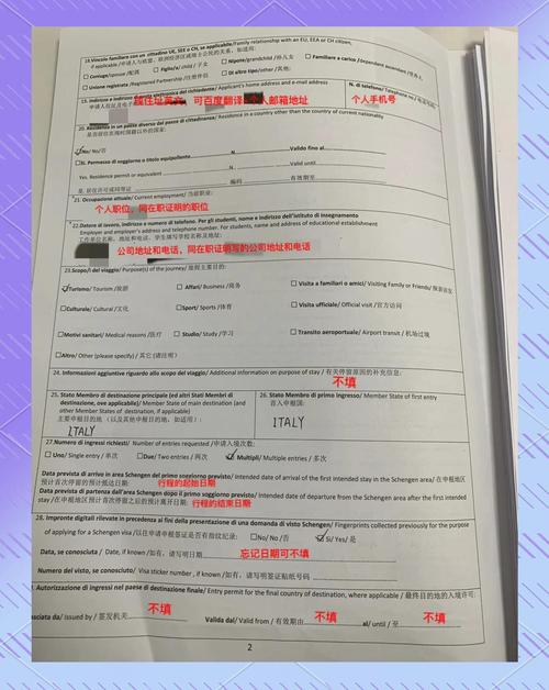 签证申请表occupation