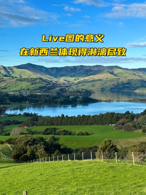 luther的blog新西兰