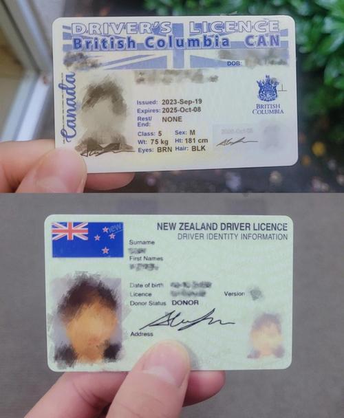 nattic 驾照翻译新西兰