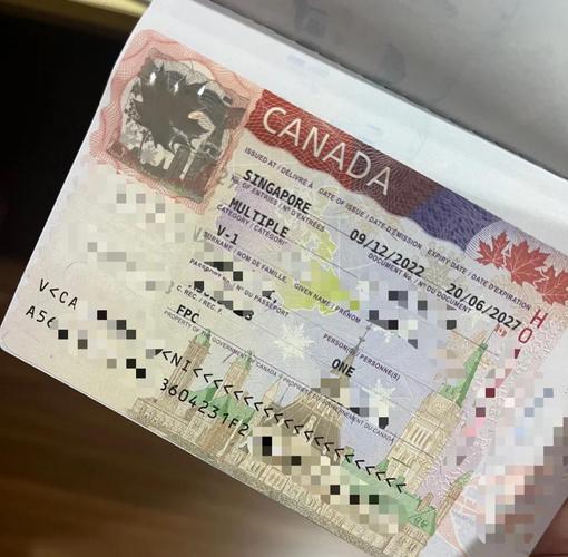加拿大签证dispatched