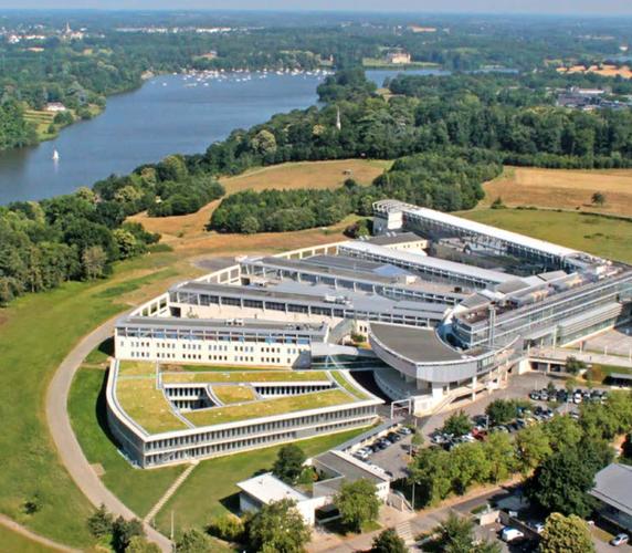 澳洲satterley group