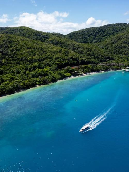 vicechancellor在澳洲