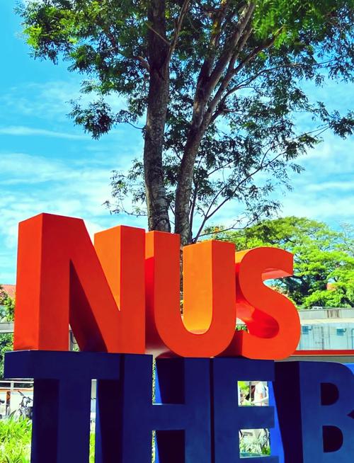 新加坡国立-finance