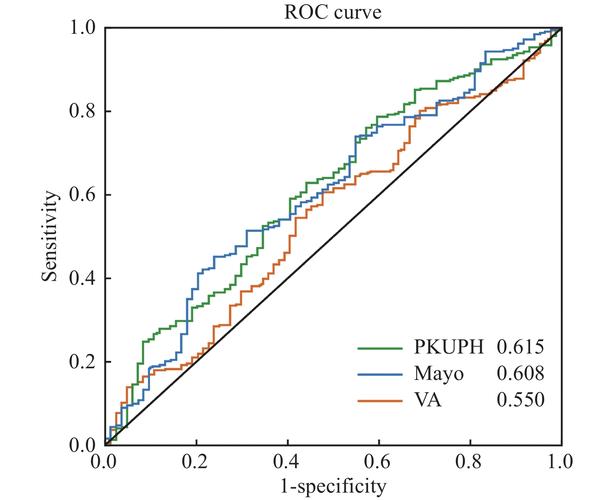 新西兰 ncea 试题 分析