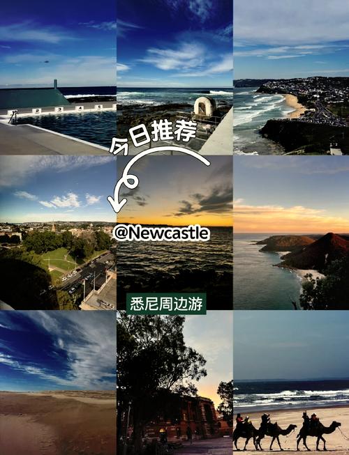 newcastle 新加坡