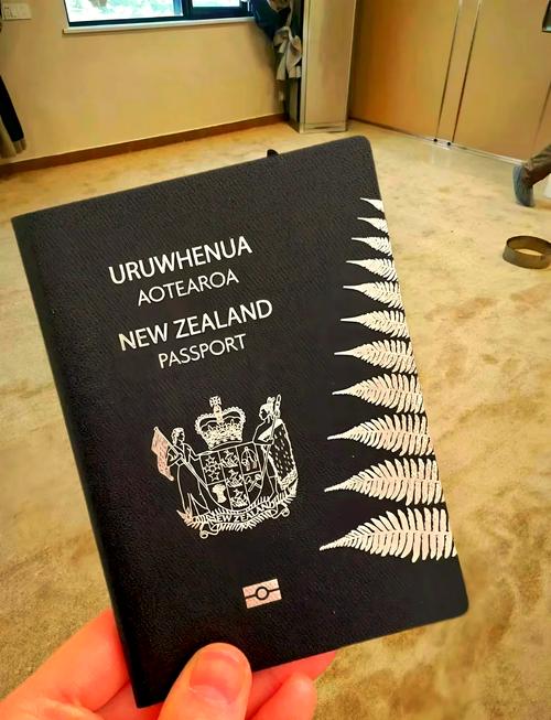 新西兰 diploma 算法