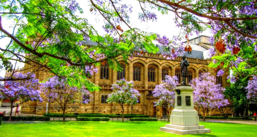 澳洲conditional coe