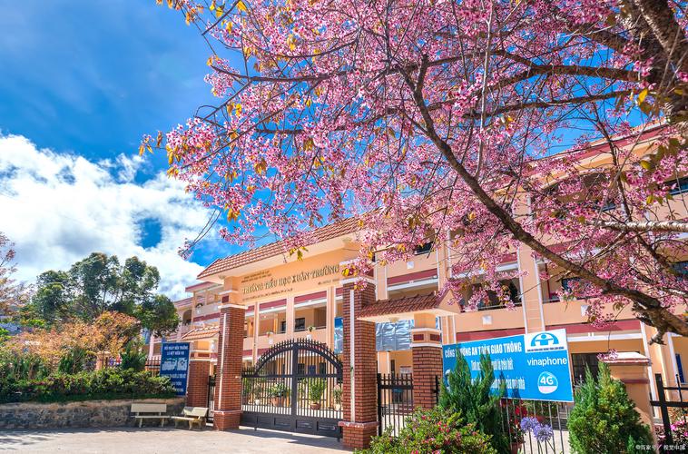 新西兰pakuranga学校