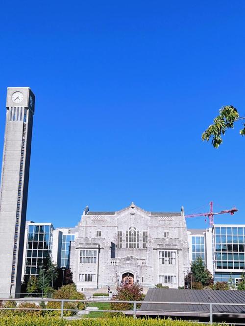 新西兰pakuranga学校