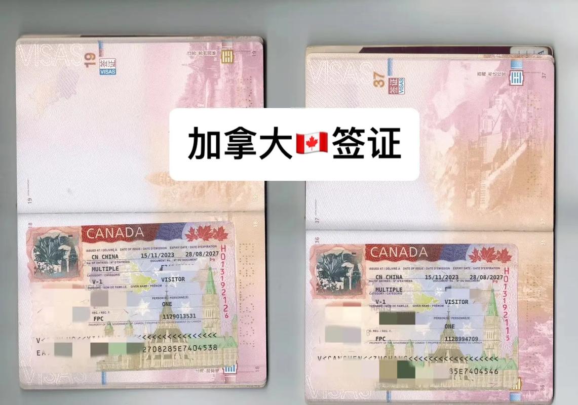 办理加拿大旅游签证需要什么材料