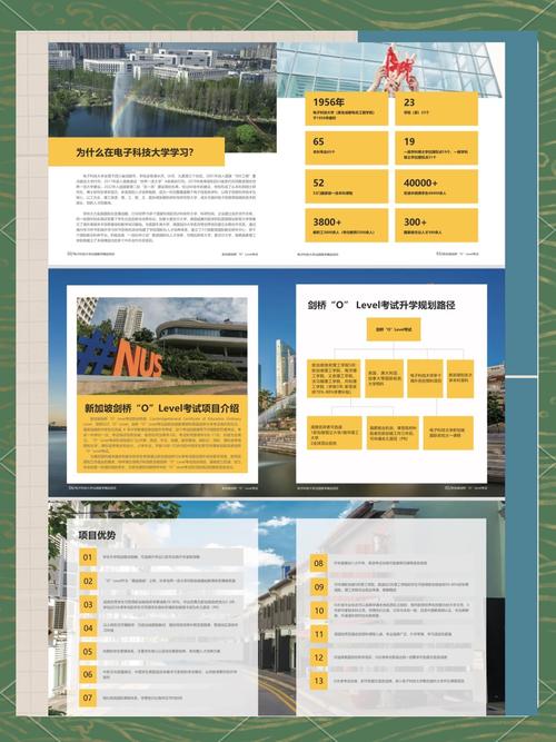 初三考新加坡o level