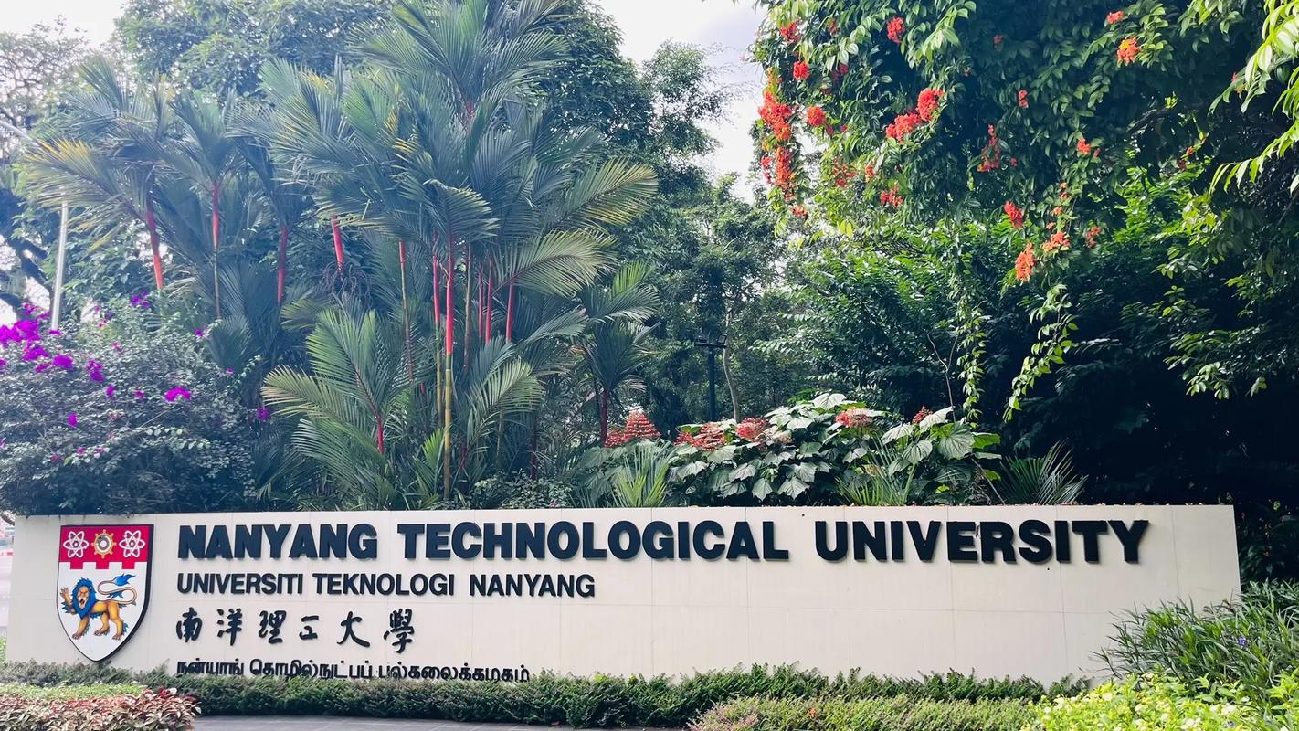 新加坡南洋理工大学 mba