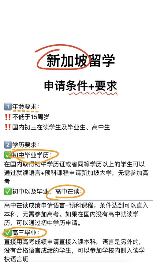 留学新加坡it专业申请流程