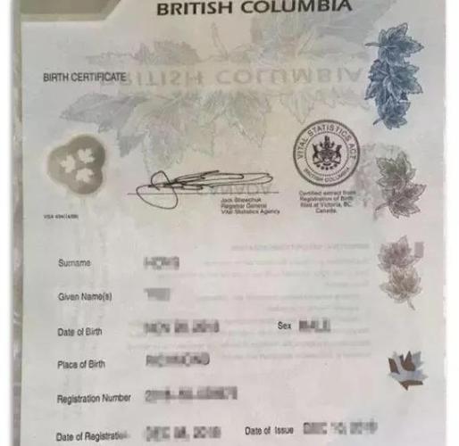 加拿大签证schedule1