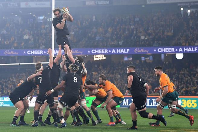 新西兰 all blacks