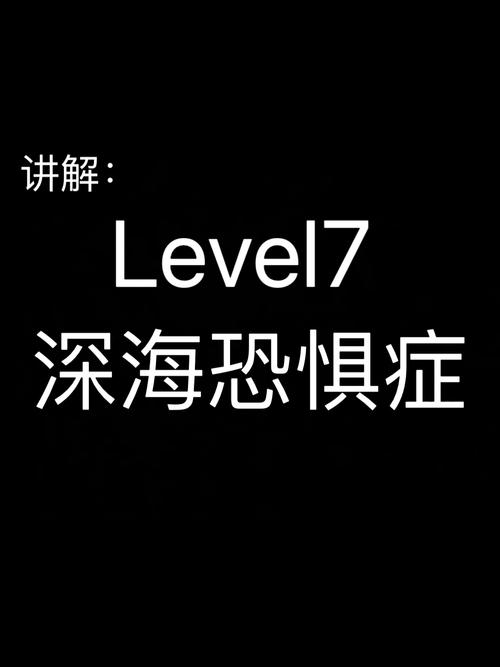 level 7 it 新西兰