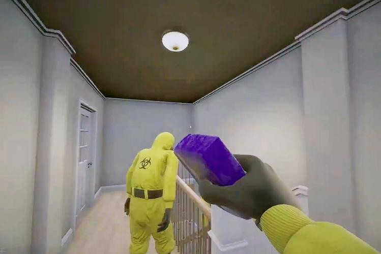 level 7 it 新西兰