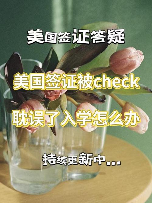 2025美国签证被check