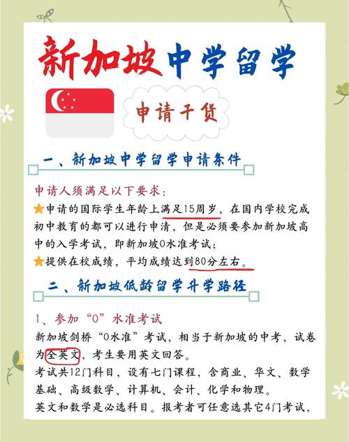 去新加坡上初中需要什么条件