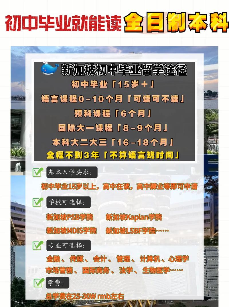 去新加坡上初中需要什么条件
