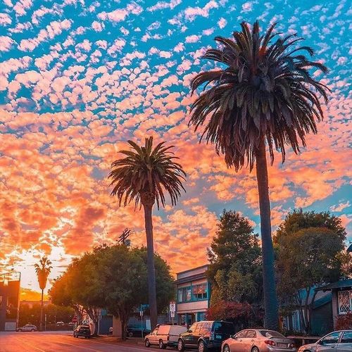 旅游签证是b2还是b1 b2