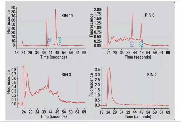 澳洲bioinformatics