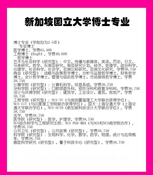 国际生申请新加坡大学的条件