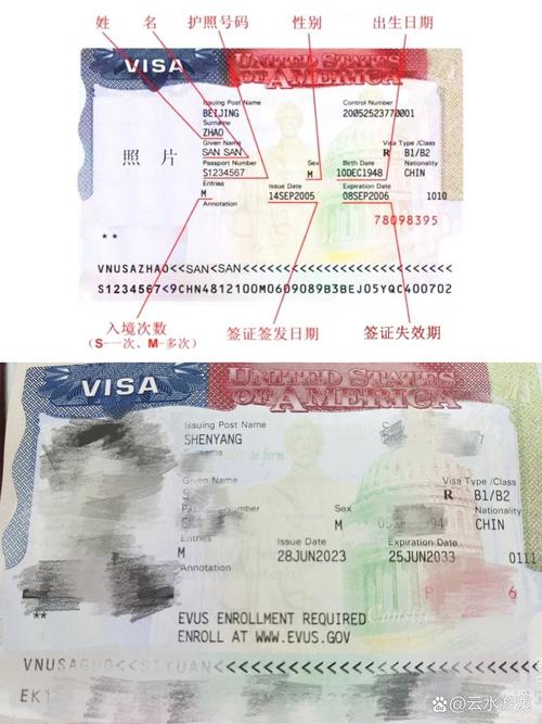 美国签证照片下的星星代表什么