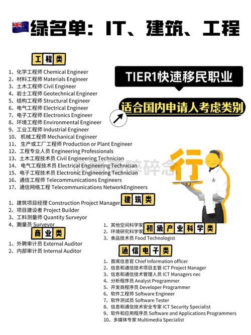 新西兰 it经理 工作经验