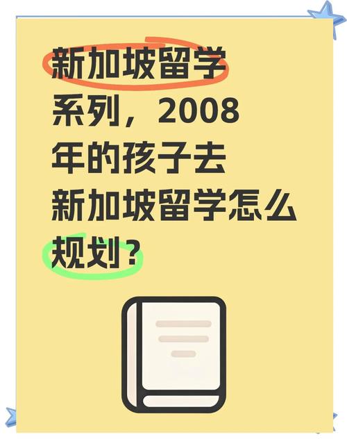 2008年新加坡留学政策