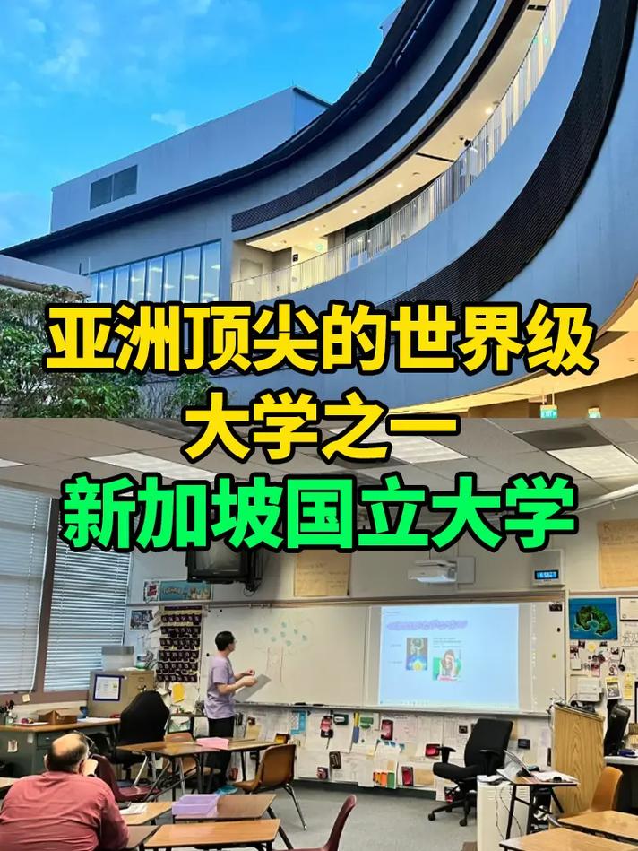 新加坡sutd是什么大学