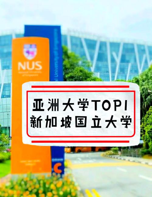 新加坡sutd是什么大学