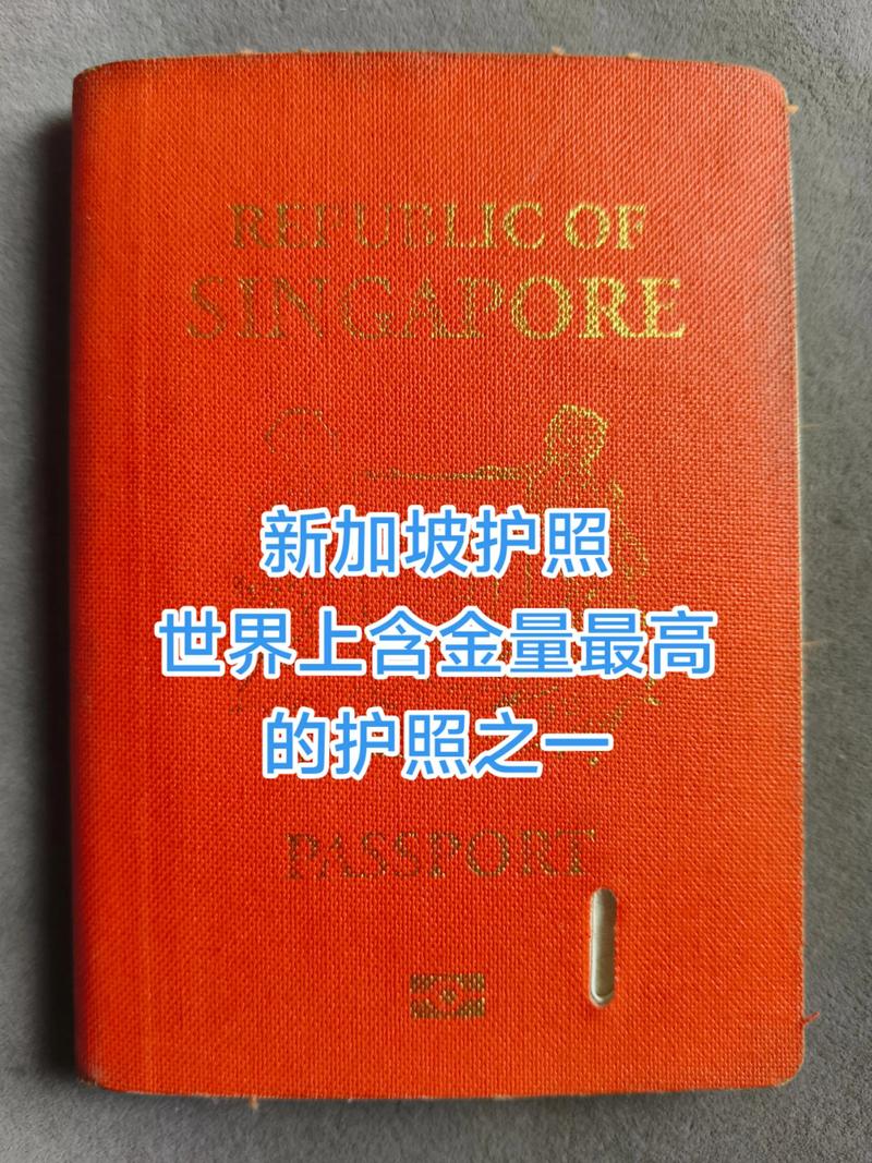 去新加坡需要准备什么证件