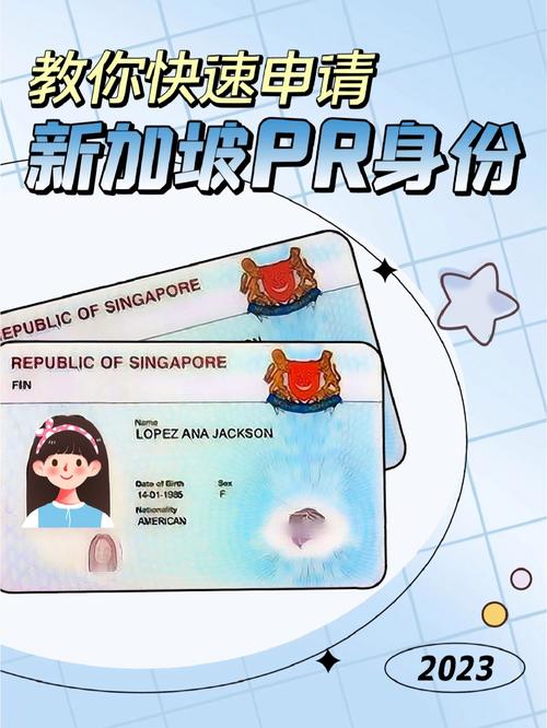 去新加坡需要准备什么证件