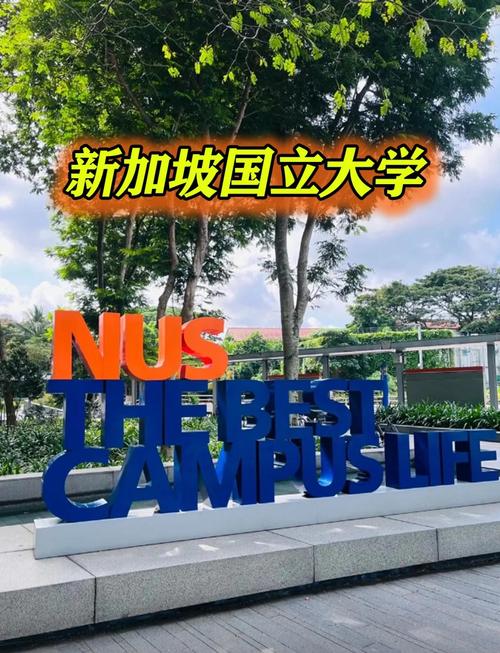 新加坡国立大学系统科学院