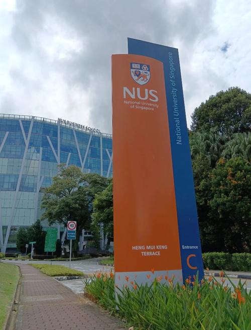 新加坡国立大学系统科学院