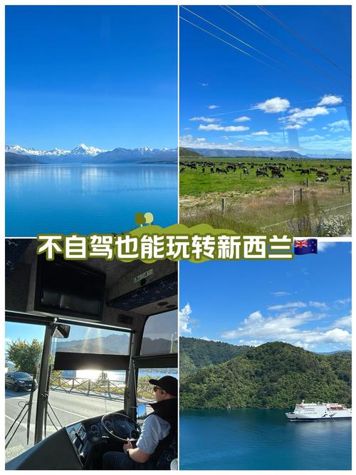 新西兰读完gd可以享受本地