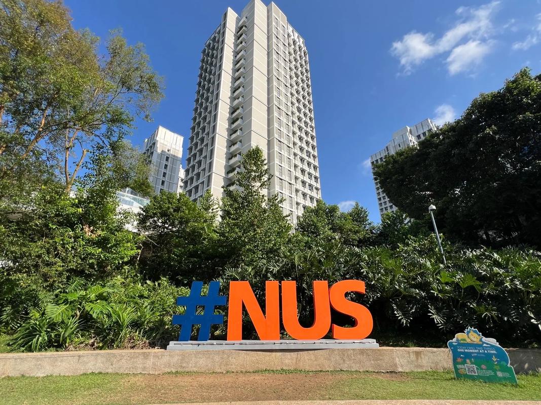 新加坡国立大学phd待遇