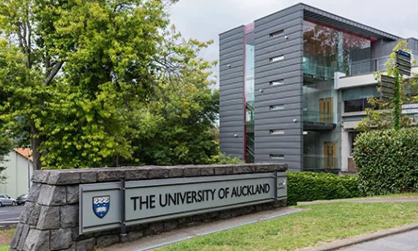 新西兰奥克兰大学有什么学院