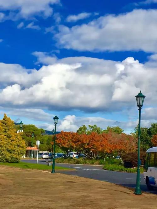 新西兰女皇学院level7