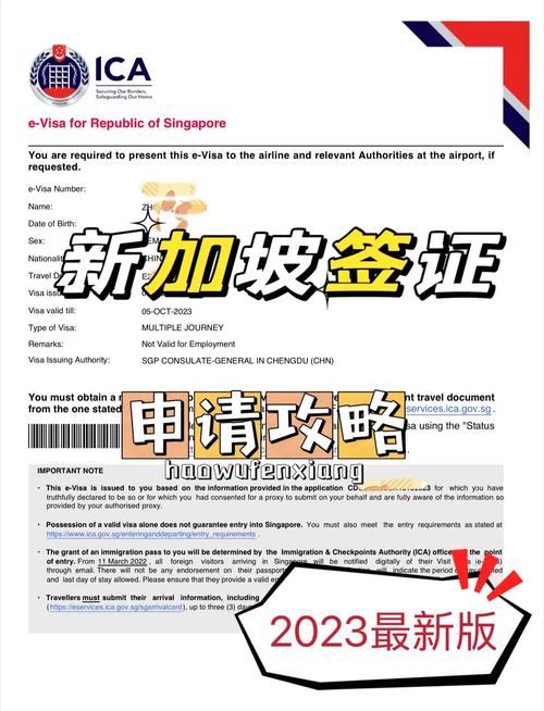 新加坡签证申请表填写样本