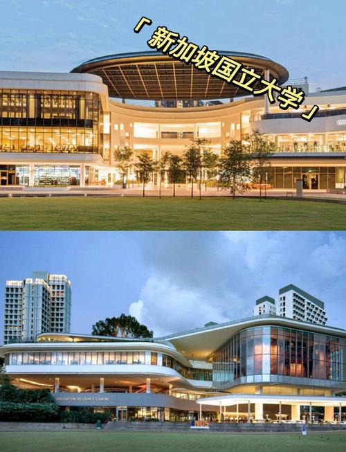 新加坡国立大学和香港大学
